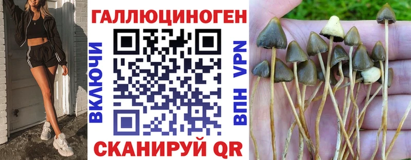 Галлюциногенные грибы MAGIC MUSHROOMS  Венёв 